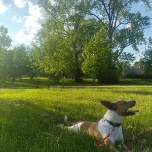 Meet your Posher, Taylor